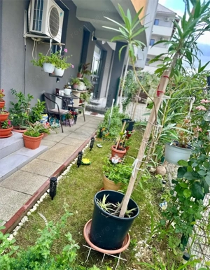 Apartament cu Gradina Bloc NOU Braytim