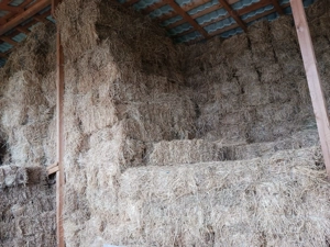 Baloti de paie si lucerna, calitate buna