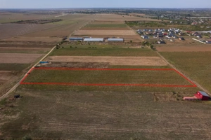 Adunatii Copaceni - Troitei | teren 6 525 mp | zona in dezvoltare - imagine 4