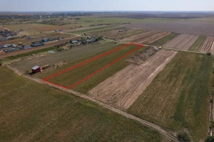 Adunatii Copaceni - Troitei | teren 6 525 mp | zona in dezvoltare - imagine 7