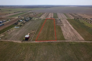 Adunatii Copaceni - Troitei | teren 6 525 mp | zona in dezvoltare - imagine 6