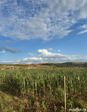 Teren intravilan de vânzare Șeușa