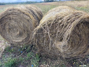 Baloti rotunzi de paie - imagine 2