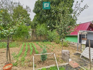 Căsuță de vacanță pentru pescari în Lipova - imagine 11