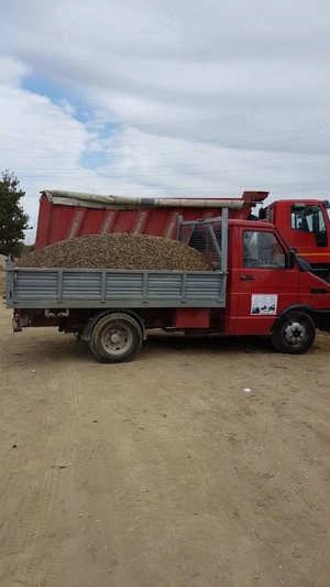 Ridicare moloz | Firmă autorizată