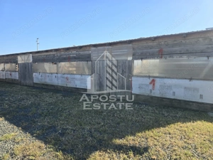 Fermă cu casa, zero comision, in Horia - imagine 9