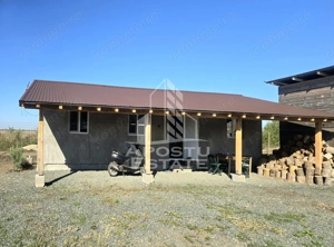 Fermă cu casa, zero comision, in Horia - imagine 7