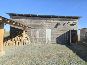 Fermă cu casa, zero comision, in Horia - imagine 10