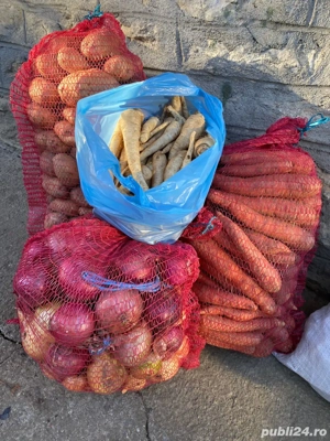 Legume proaspete direct din Rasca, Dealu Mare! Morcovi, cartofi, ceapa
