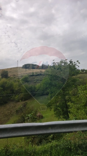 Teren constructii si faneata/livada 3082 mp Damis Bratca drum DJ 764D - imagine 19