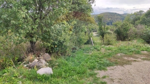 Teren constructii si faneata/livada 3082 mp Damis Bratca drum DJ 764D - imagine 17