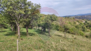 Teren constructii si faneata/livada 3082 mp Damis Bratca drum DJ 764D - imagine 11