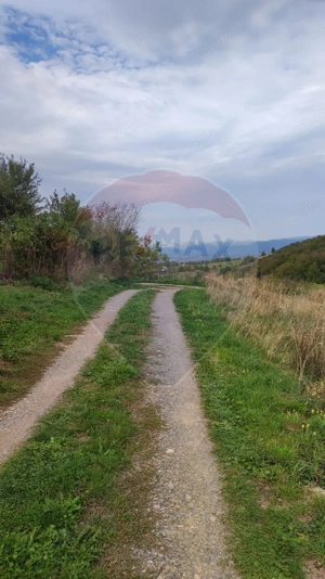 Teren constructii si faneata/livada 3082 mp Damis Bratca drum DJ 764D - imagine 9