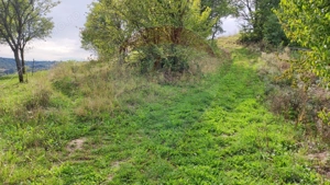 Teren constructii si faneata/livada 3082 mp Damis Bratca drum DJ 764D - imagine 16