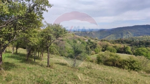 Teren constructii si faneata/livada 3082 mp Damis Bratca drum DJ 764D - imagine 10