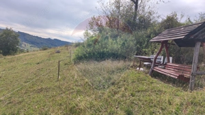 Teren constructii si faneata/livada 3082 mp Damis Bratca drum DJ 764D - imagine 13