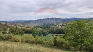 Teren constructii si faneata/livada 3082 mp Damis Bratca drum DJ 764D - imagine 14