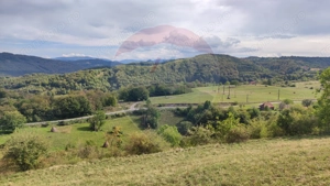 Teren constructii si faneata/livada 3082 mp Damis Bratca drum DJ 764D - imagine 12