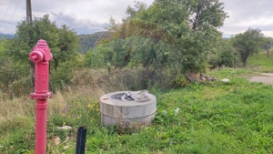 Teren constructii si faneata/livada 3082 mp Damis Bratca drum DJ 764D - imagine 6