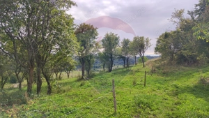 Teren constructii si faneata/livada 3082 mp Damis Bratca drum DJ 764D - imagine 5