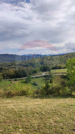 Teren constructii si faneata/livada 3082 mp Damis Bratca drum DJ 764D - imagine 18