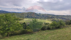 Teren constructii si faneata/livada 3082 mp Damis Bratca drum DJ 764D - imagine 4