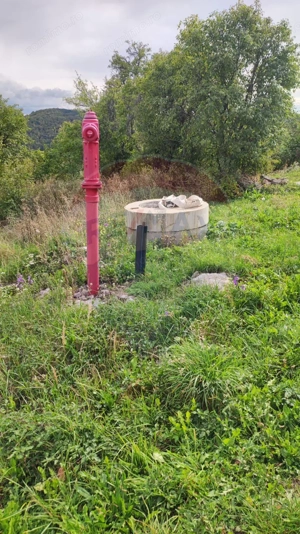 Teren constructii si faneata/livada 3082 mp Damis Bratca drum DJ 764D - imagine 7