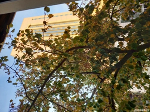 apt 3  4 ultracentral sector 1 Sheraton  ASE - imagine 4