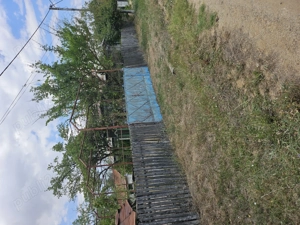 Gospodărie cu 2 case Comuna Trivale Mosteni, sat , la 30 km de Alexandria, județul Teleorman