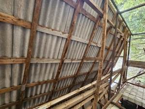 Gospodărie cu 2 case Comuna Trivale Mosteni, sat , la 30 km de Alexandria, județul Teleorman - imagine 5