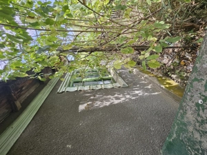 Gospodărie cu 2 case Comuna Trivale Mosteni, sat , la 30 km de Alexandria, județul Teleorman - imagine 6