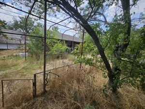 Gospodărie cu 2 case Comuna Trivale Mosteni, sat , la 30 km de Alexandria, județul Teleorman - imagine 9