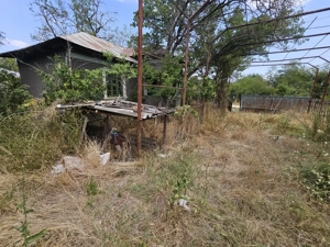 Gospodărie cu 2 case Comuna Trivale Mosteni, sat , la 30 km de Alexandria, județul Teleorman - imagine 8