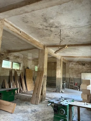 Doua hale industriale de vanzare, 390 mp + 216 mp, Calea București - imagine 2