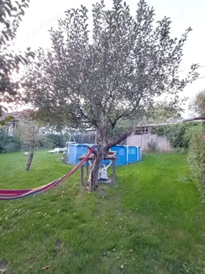 Casa individuala cu 3 camere, 530 mp teren, in Turda Noua - imagine 8