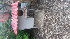 rate exotice - imagine 3