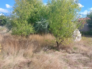 Vand teren intravilan Techirghiol - imagine 7