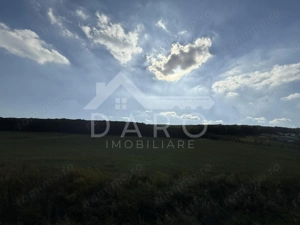 Teren intravilan budiu mic 9700 m², perfect pentru complex rezidențial