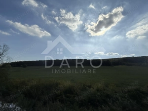 Teren intravilan budiu mic 9700 m², perfect pentru complex rezidențial - imagine 3