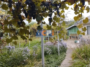 Casa Garleni - imagine 11