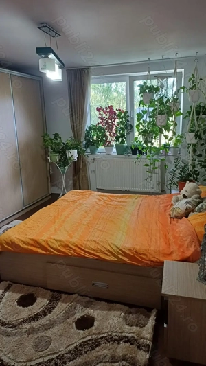 Apartament Mureș Sângeorgiu de Mureș  - imagine 8