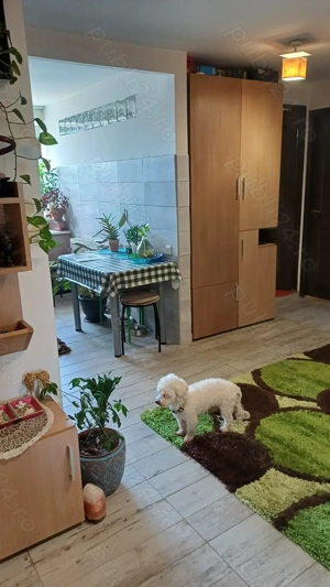 Apartament Mureș Sângeorgiu de Mureș  - imagine 4