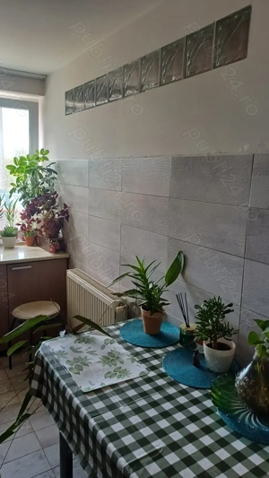 Apartament Mureș Sângeorgiu de Mureș  - imagine 9