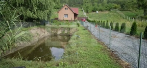 Casă cu teren generos și lac de pescuit – Ceuașu de Câmpie - imagine 3