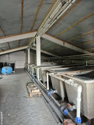 Vilă BiFamiliara si Afacere Unica  - imagine 8