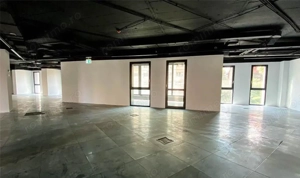 Bacia Spatiu Birouri 15 Euro/ mp - imagine 6