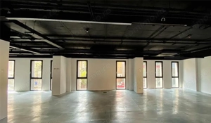 Bacia Spatiu Birouri 15 Euro/ mp - imagine 3