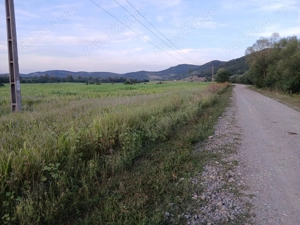 Teren extravilan in localitatea Lupoaia, Salaj - imagine 4