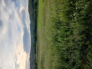 Teren extravilan in localitatea Lupoaia, Salaj - imagine 2