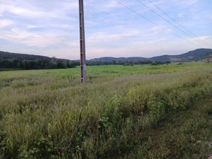 Teren extravilan in localitatea Lupoaia, Salaj - imagine 3